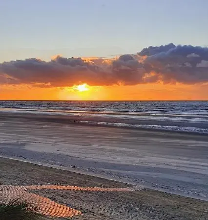 Joli T2- Centre - Parking Gratuit - Wifi *